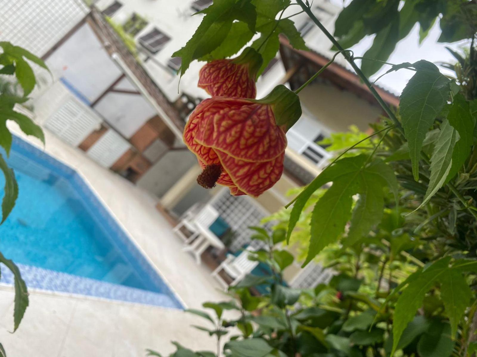 Pousada Do Tio Cido 과루자 외부 사진